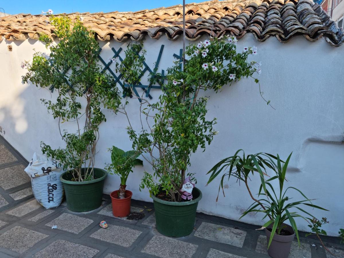 Green Palace برينديسي المظهر الخارجي الصورة