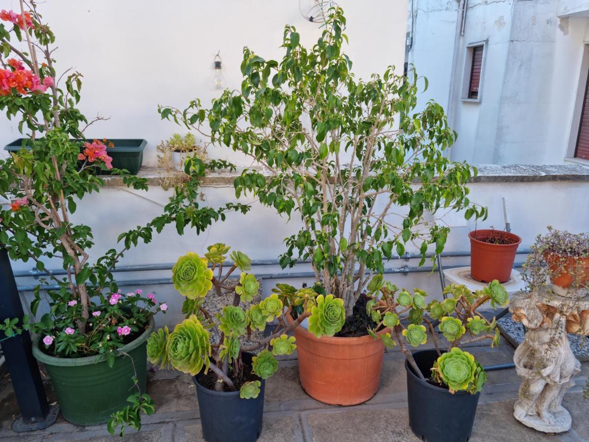Green Palace برينديسي المظهر الخارجي الصورة